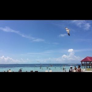 Meet your Posher, Angel